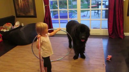 Toddler tries teaching dog to Hula Hoop