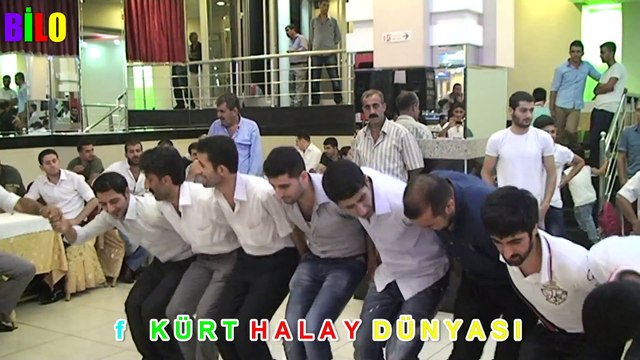 BİTLİ TATVAN HALAYLARI KOÇERÎ MURAT MUTLU'NUN DÜĞÜNÜ