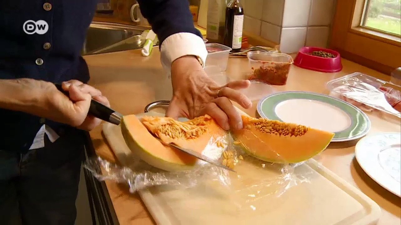 Der helfende Hund | Journal