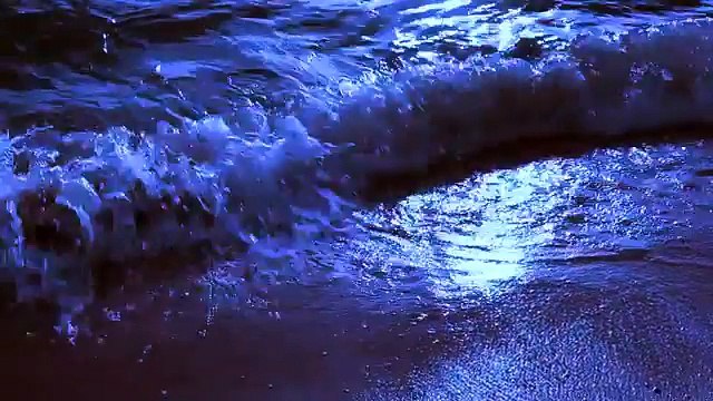 Shaaman Paiyan - Sonu Kakkar - Music - Tony Kakkar