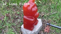 Giant Gummy Bear   Liquid Nitrogen   Shotgun = Magic