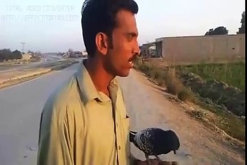 Ess ko Kahty Hay Wafa ♥ c love bw a pet n his master plz  must Watch n share