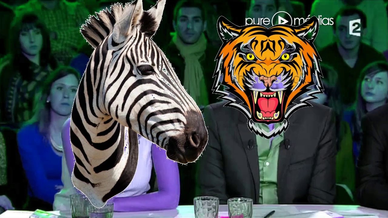 Le ZOO De Villetaneuse ( détournement On N'est Pas Couché, CLASH Rachida Dati Mathieu Kassovitz )