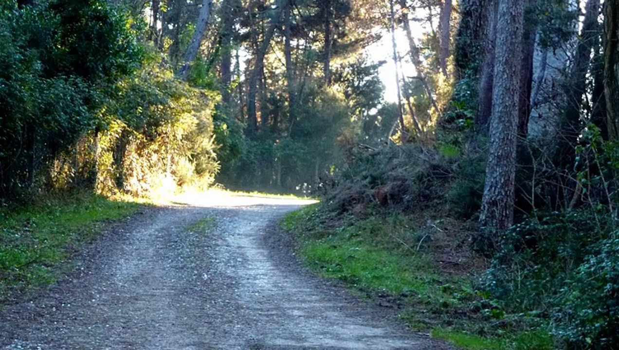 il mio borgo