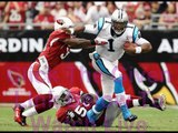 Panthers vs Cardinals Live Stream NFL Football Game 2014 Online free hdtv