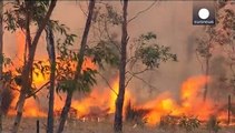 40.000 personas a punto de ser evacuadas por los incendios en Australia Meridional