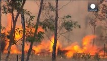 Des incendies dangereux et hors de contrôle dans le sud de l'Australie