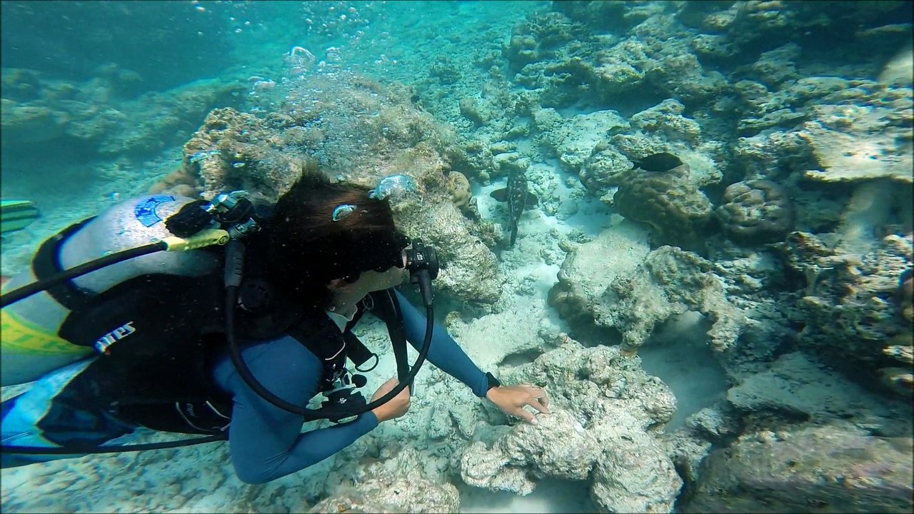Maldives 2014, diving with Tiago