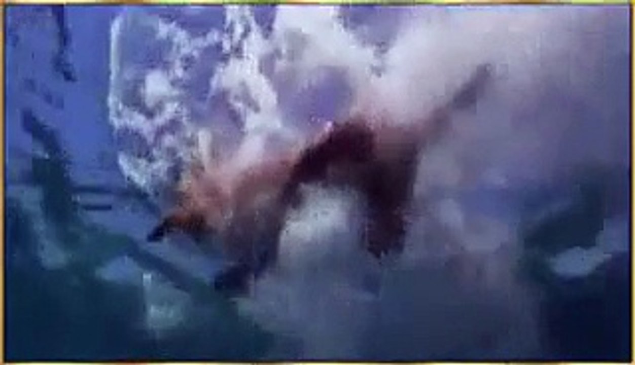 نشيد سبحان الله والحمدلله