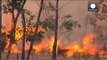 Fogo já consumiu 10 mil hectares da Austrália do Sul e matou diversos animais