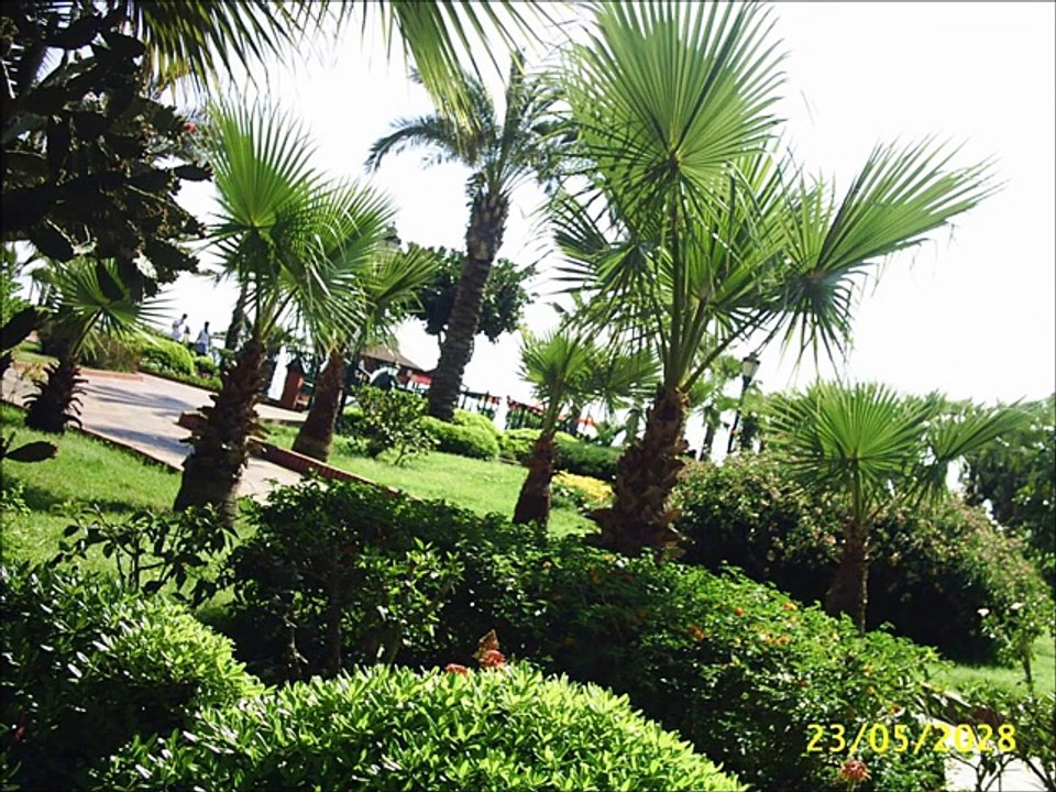 OĞUZ YILMAZ-SARI KIZ -GÖNÜL TÜRKÜLERİ--SEVDALI TÜRKÜLERİN  GÖNÜL SAYFASI.M.M