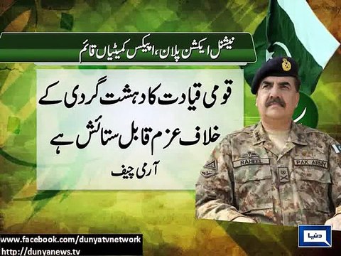 Apex Committees made to implement action plan against terrorism.