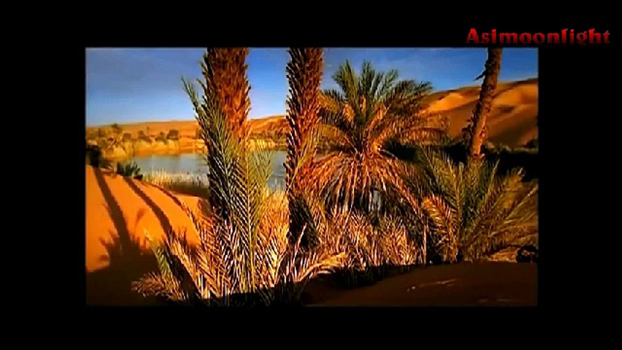 Mustafa Cihat – Zeydin Gözleri