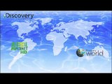 Discovery Channel, Discovery Science, Animal Planet, Discovery World, Discovery HD Showcase