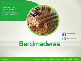Bercimaderas - Biomasa un aprovechamiento total - Carbón vegetal - Reciclaje de madera