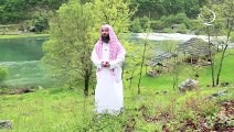 الحلقة 24 يا الله ( الجواد النصير الكافي البر التواب ) نبيل العوضي