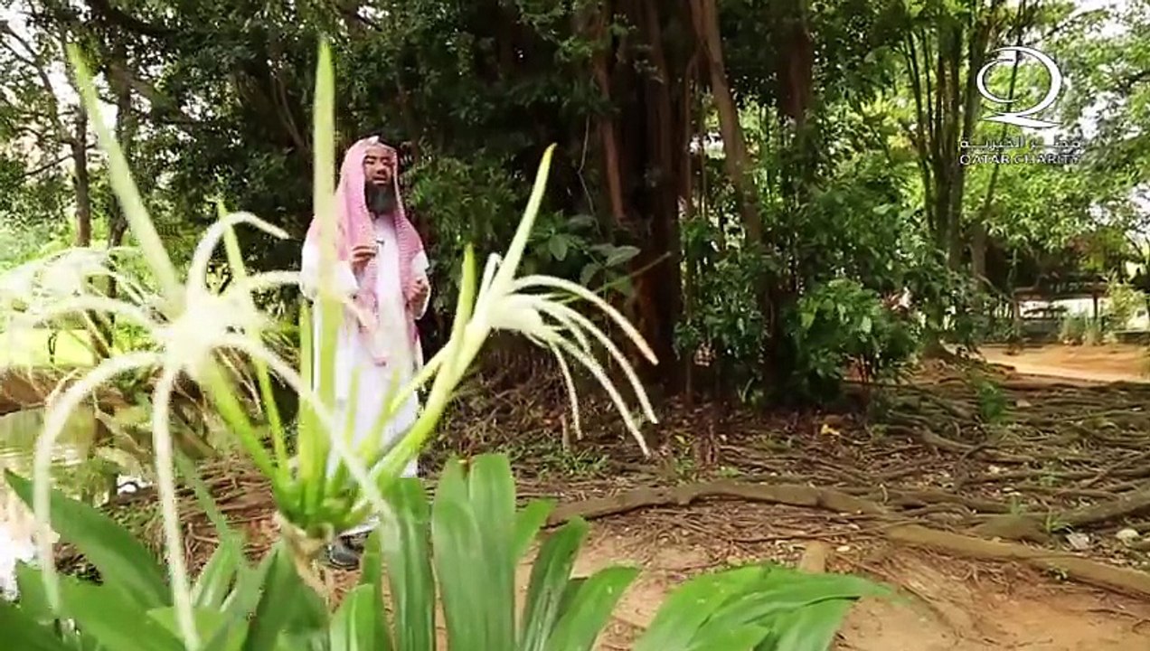 الحلقة 25 برنامج يا الله ( الخبير الودود العفو الرؤوف ) الشيخ نبيل العوضي