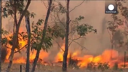 قناة الخط الأخضر | اتساع نطاق الحرائق في استراليا