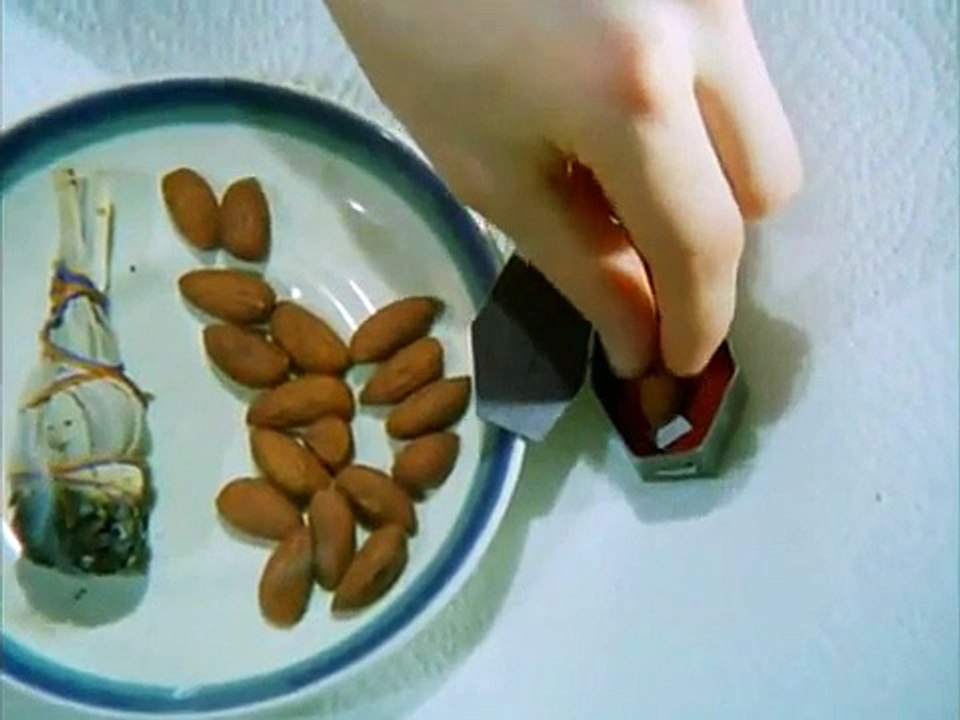 Kirlian Aura-Photography of raw foods