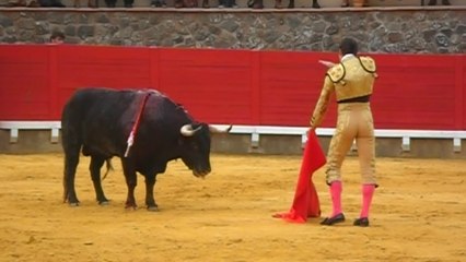 14.09.14 Daniel Luque. Cortegana. Indulto.