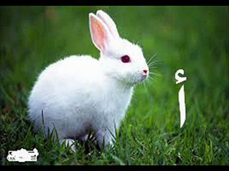 تعليم حرف الالف للاطفال