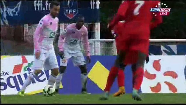 Bobigny 0 - 3 Evian Thonon Gaillard All Goals and Full Highlights 3/1/2015 - Coupe de France