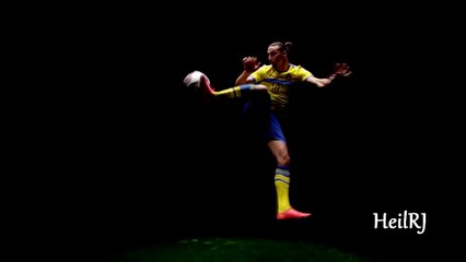 Zlatan Ibrahimovic ● The Taekwondo Footballer