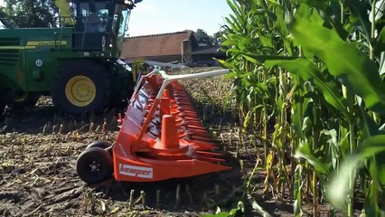 Chopping 20 rows of corn with Kemper