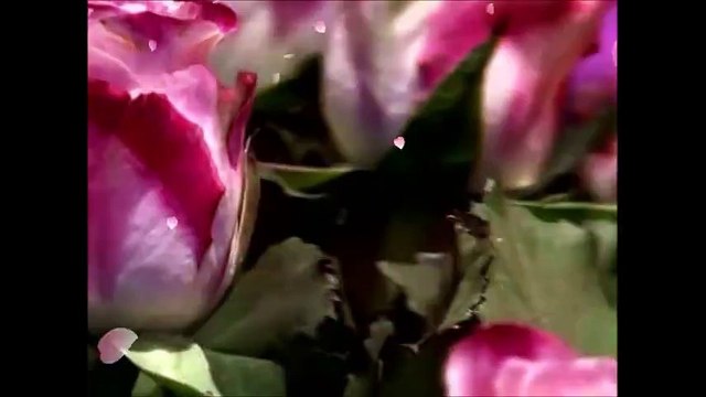 GIOVANNI MARRADI - Tango De Roses