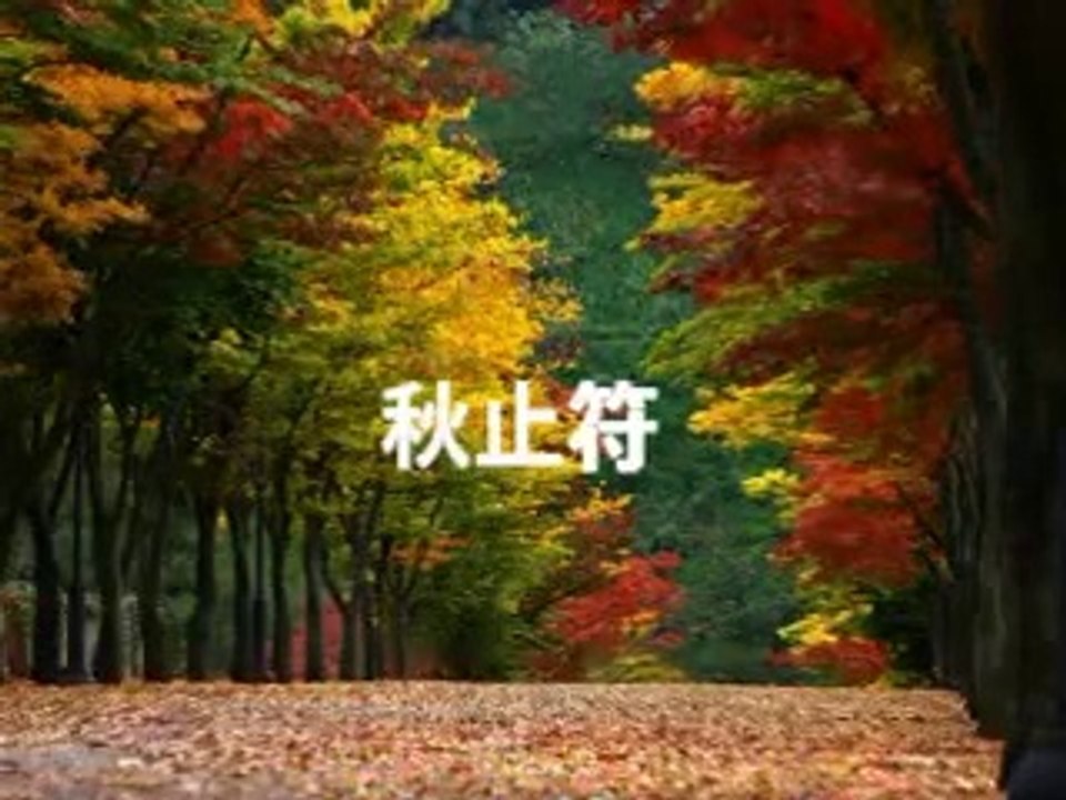 秋止符・・谷村新司