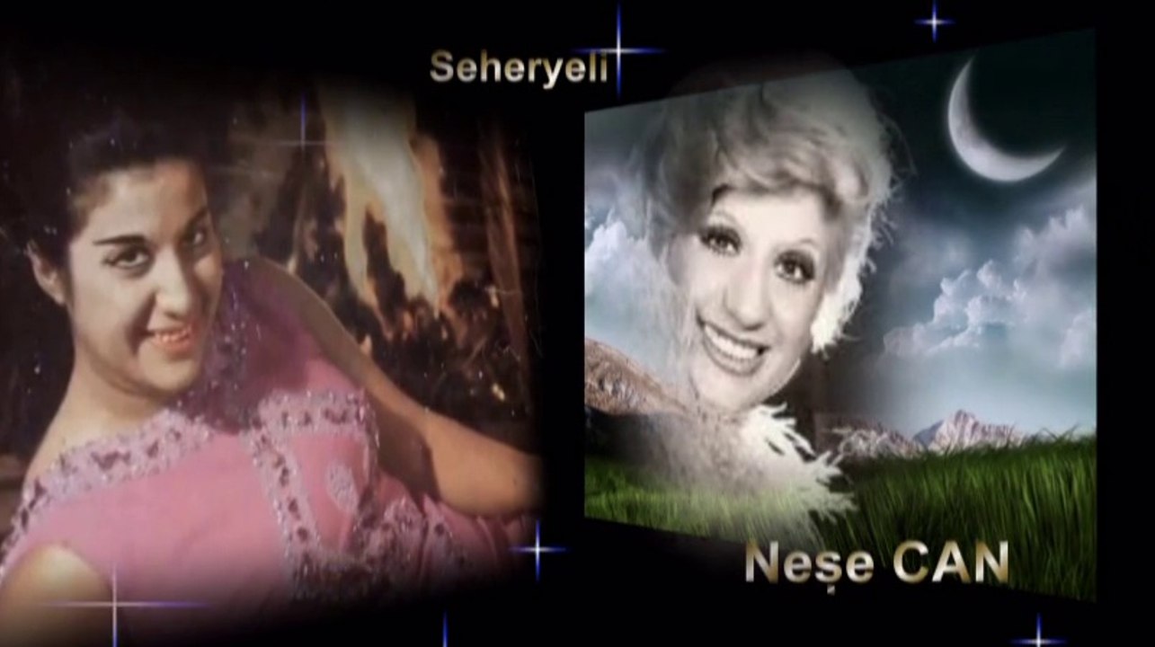 Neşe Can ♪♪♪ Hayat Budur Sevgilim Geçenler Unutulur
