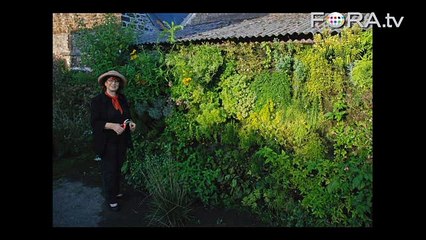 Sky's the Limit: The Vertical Gardens of Patrick Blanc