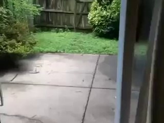 How To Play It Off LIKE A BOSS- Funniest-Best Vines (Landon Moss)