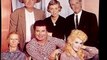 Donna Douglas aka Elly May Clampett has died -- Elly May Clampett From 'Beverly Hillbillies' Dies at 81