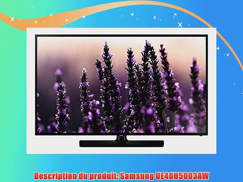 Samsung UE40H5003 TV Ecran LCD 40 (102 cm) 1080 pixels Tuner TNT 100 Hz