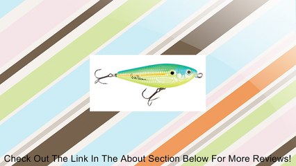 Heddon Spit'n Image Fishing Lure Review