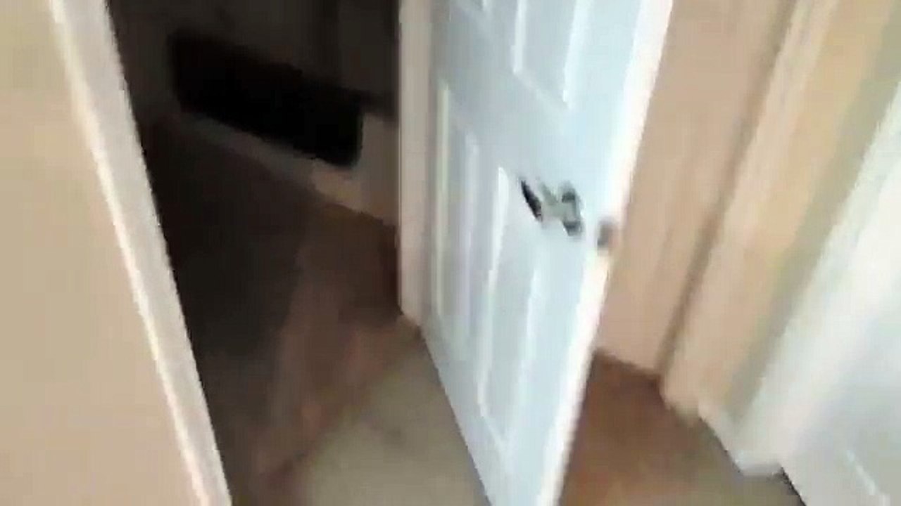Chat intelligent
