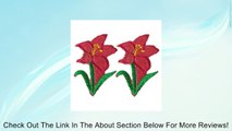 Flower Iron On Embroidery Fabric Applique Patch 2 Pcs Red Green Review