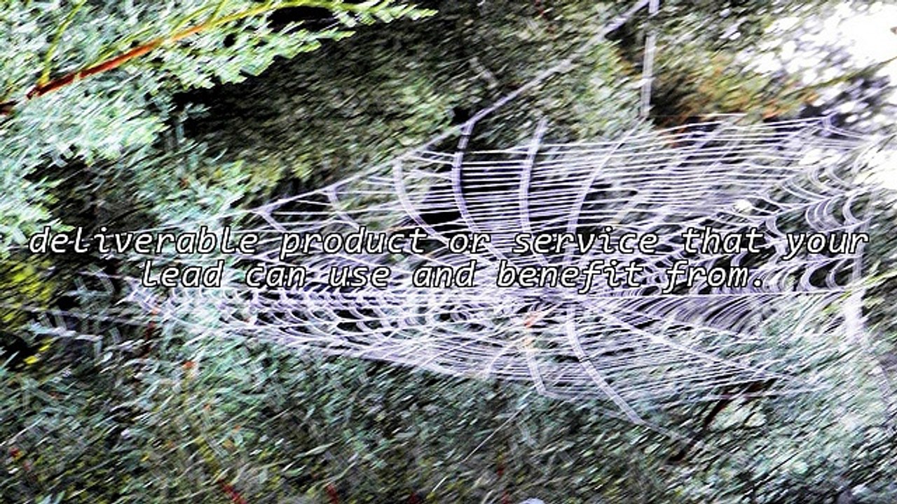 Squeeze Pages and List Building...You Can't Have One Without The Other!