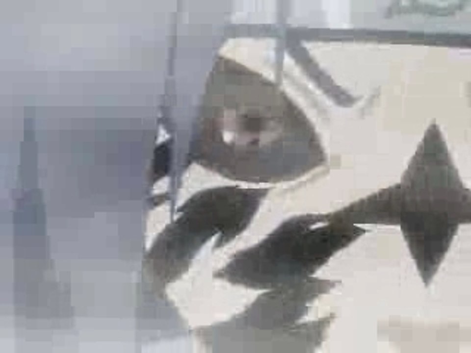 Naruto vs sasuke - brother fight