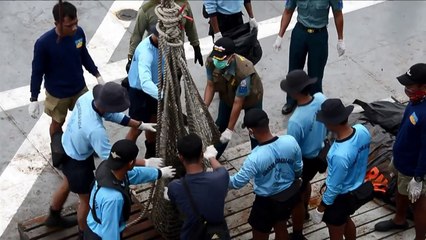 الجليد قد يكون السبب في تحطم الطائرة الماليزية