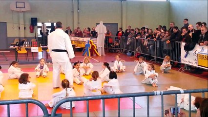 Le judo de Cornant à l'interclub de Pont sur Yonne décembre 2014