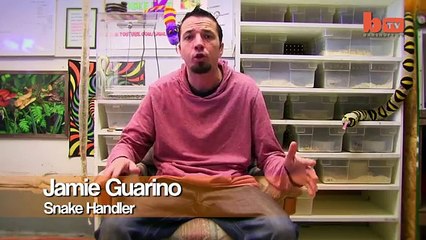 Une petite fille de 14 mois joue avec un python