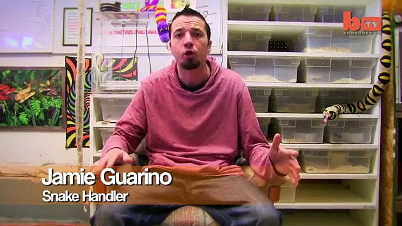 Une petite fille de 14 mois joue avec un python