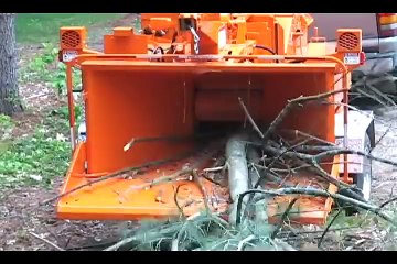 درختوں کا قیمہ بنانے والی مشین، ویڈیو دیکھیں