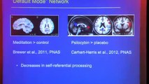 Griffiths: Psilocybin Mimics Effects of Meditation