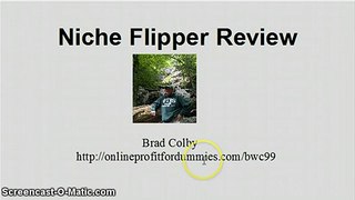 Niche Flipper Review