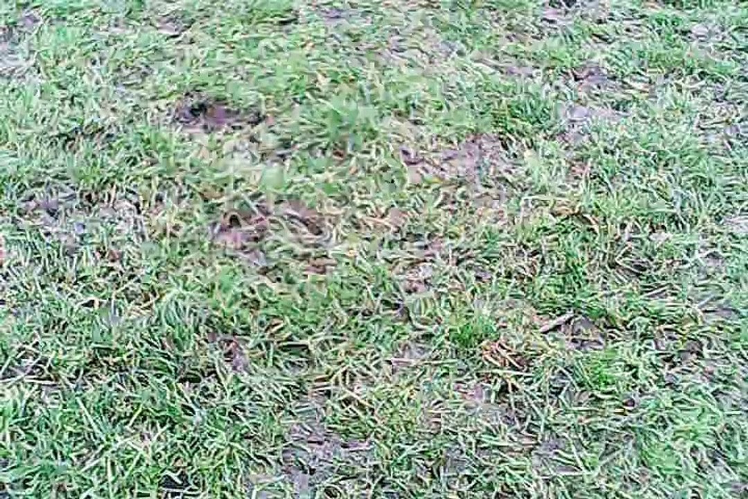 Notre 1ere video de drone Hubsan X4