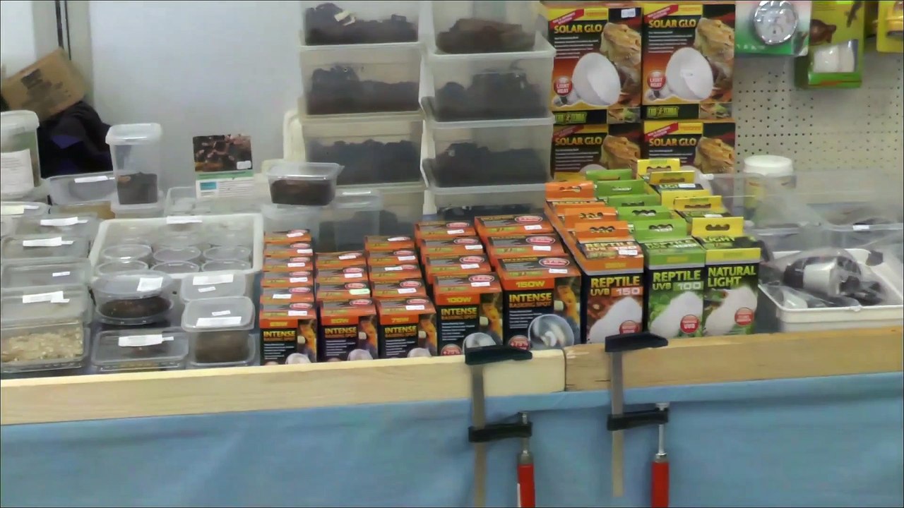 Excotica messe trailer