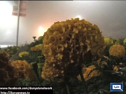 Fog engulfs areas of Punjab_ disrupts routine life